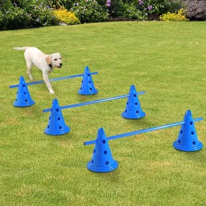 3 Set of Dog Agility Equipment Jumps Kit - Blue