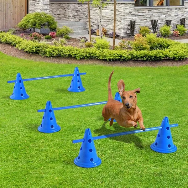 3 Set of Dog Agility Equipment Jumps Kit - Blue