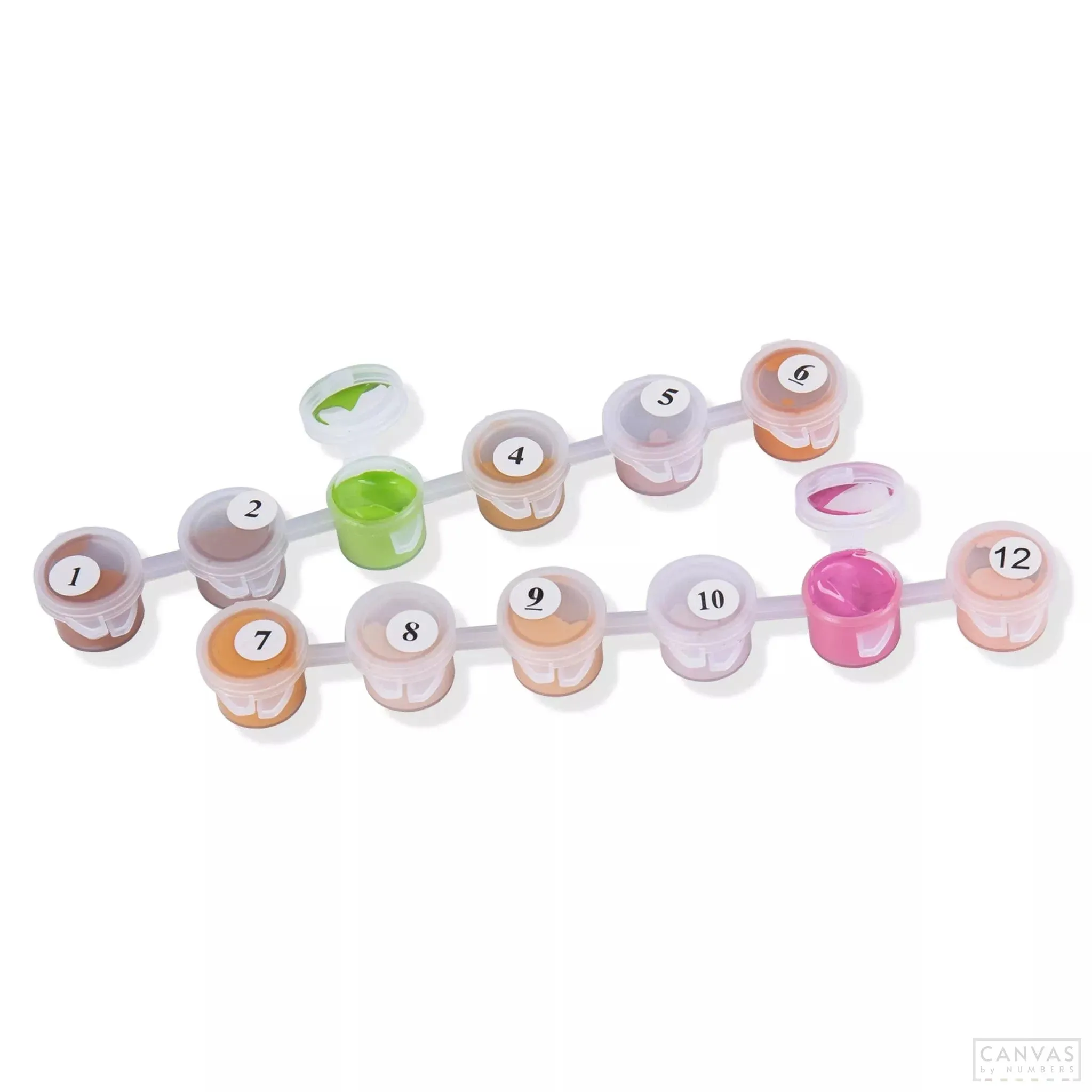 Extra Paint Kit to Elevate Paint by Numbers Experience