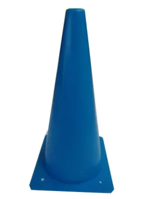 Plastic Cone 12in/30cm