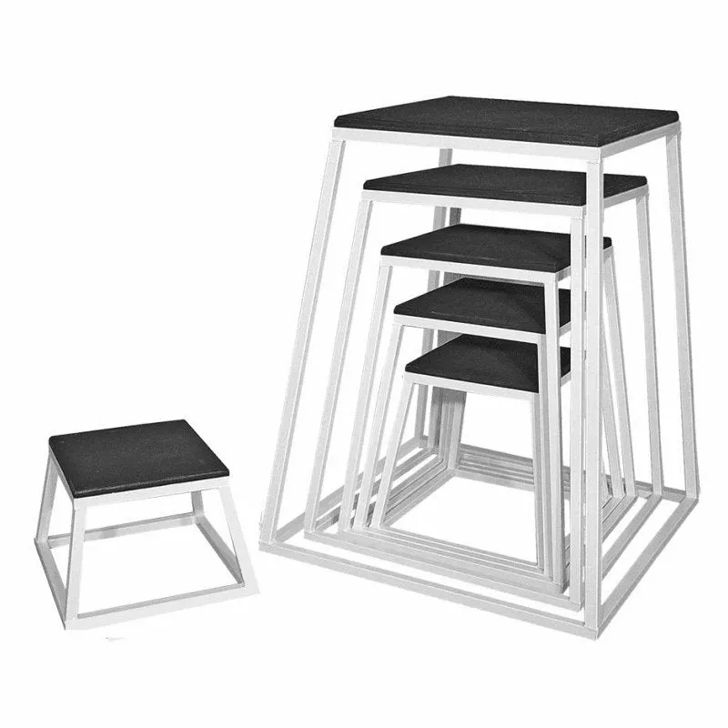 Plyo Box Set Legend 3134