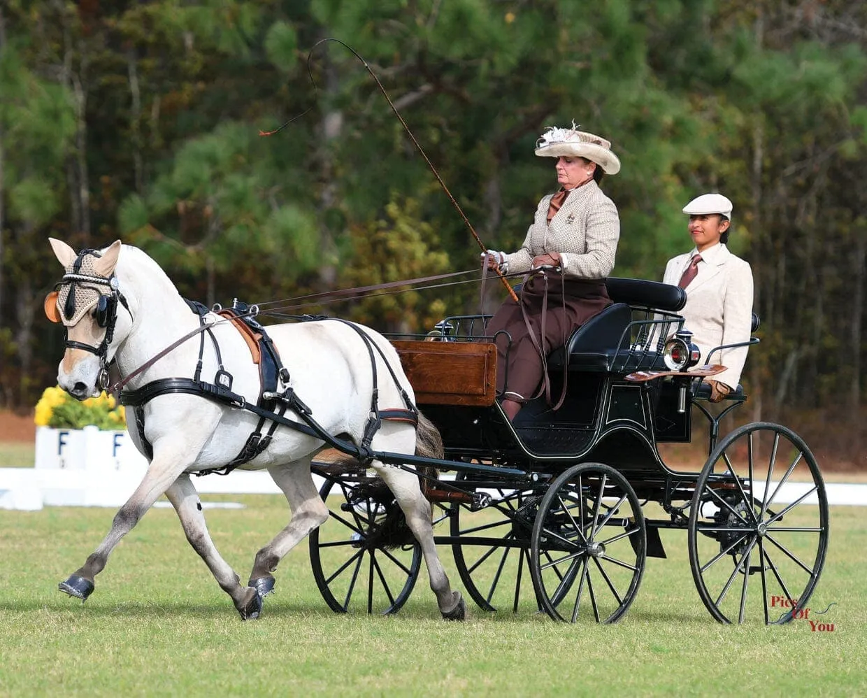 Sweetwater's Zorah Belle